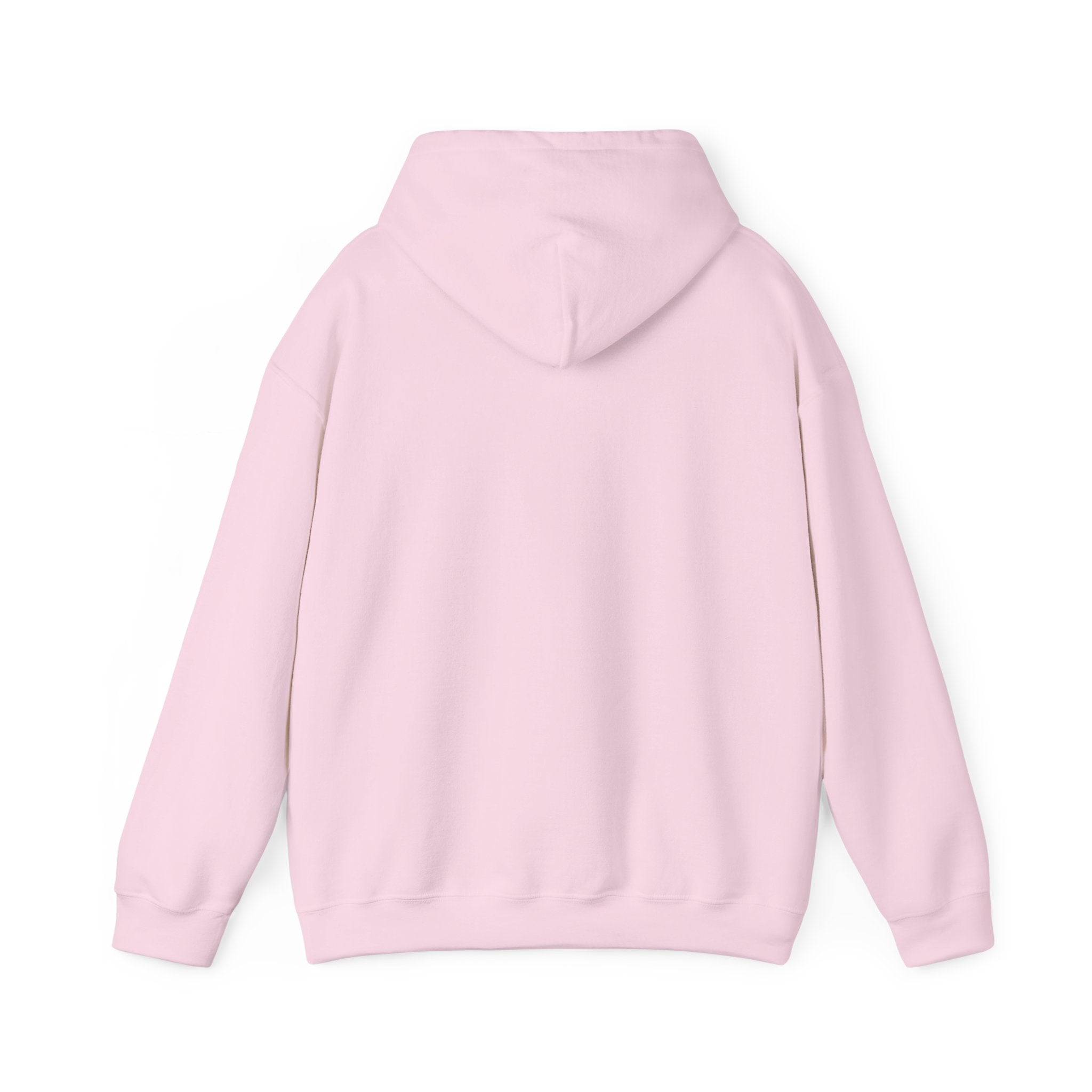I Missed the Mark! Hoodie