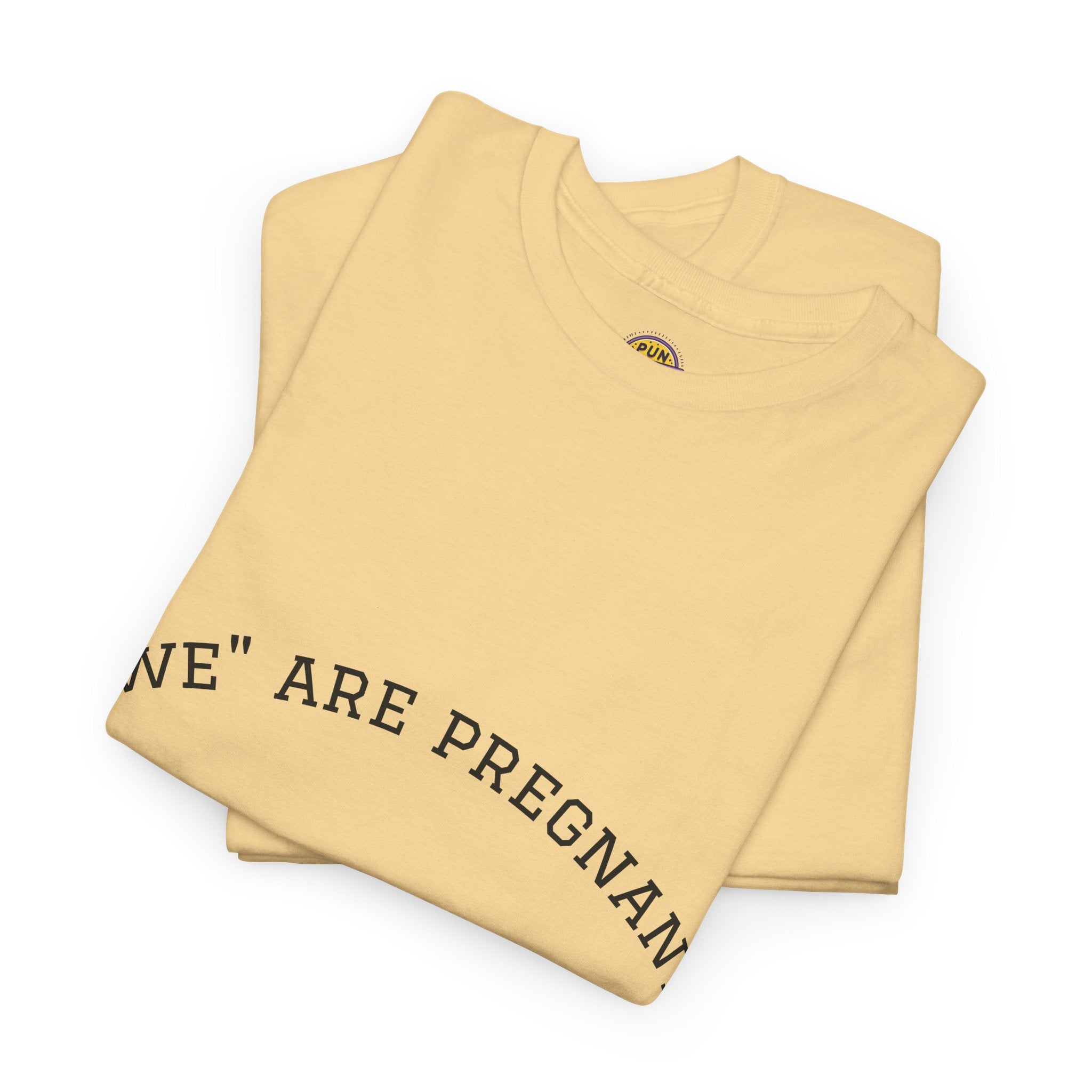 We Are Pregnant T-Shirt