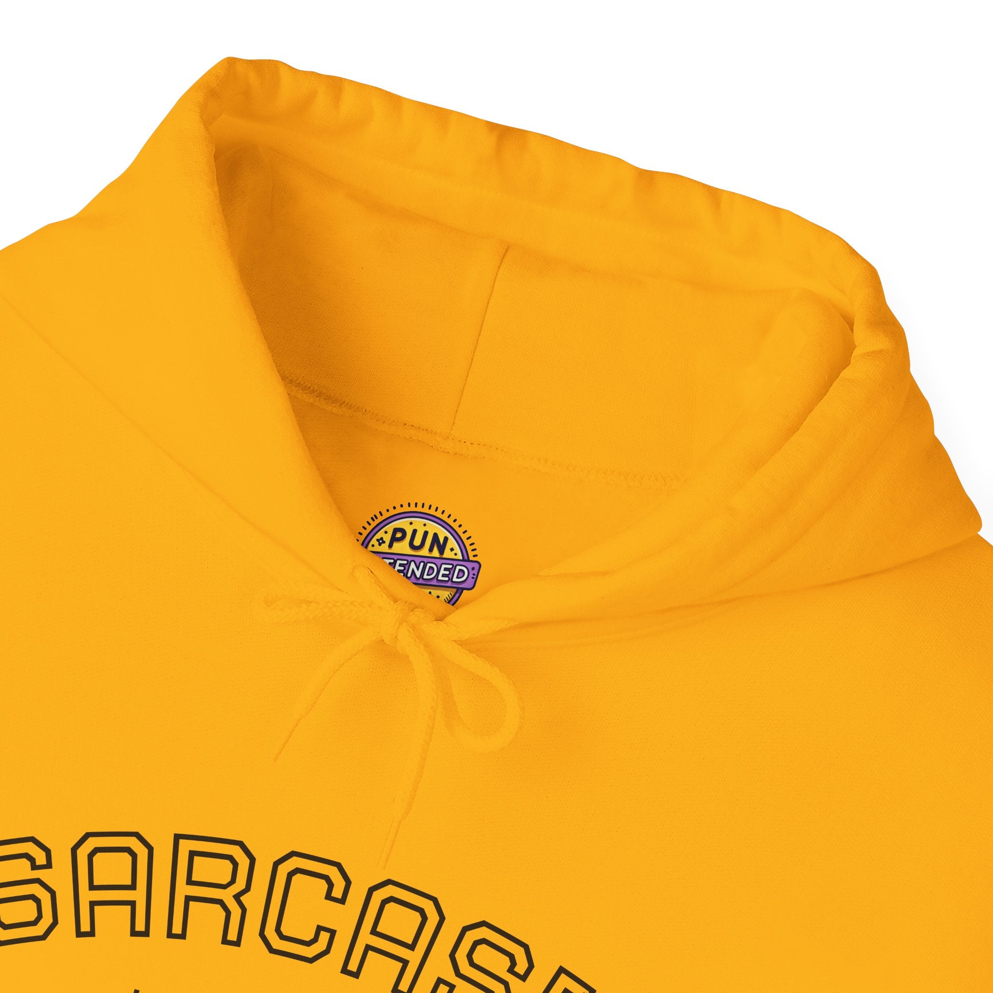 Sarcasm University Hoodie