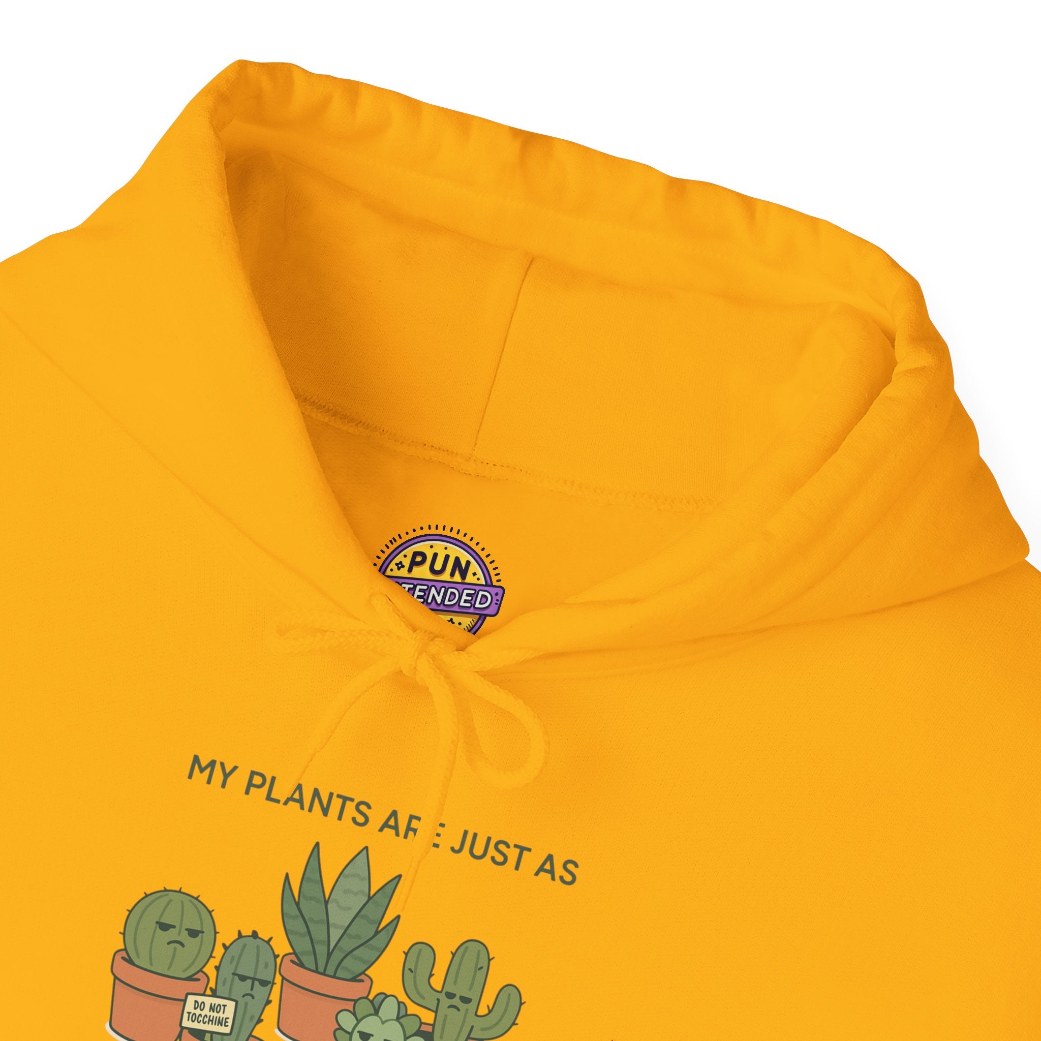 My Plants Are Just as  Emotinally  Unavailable as I am Hoodie
