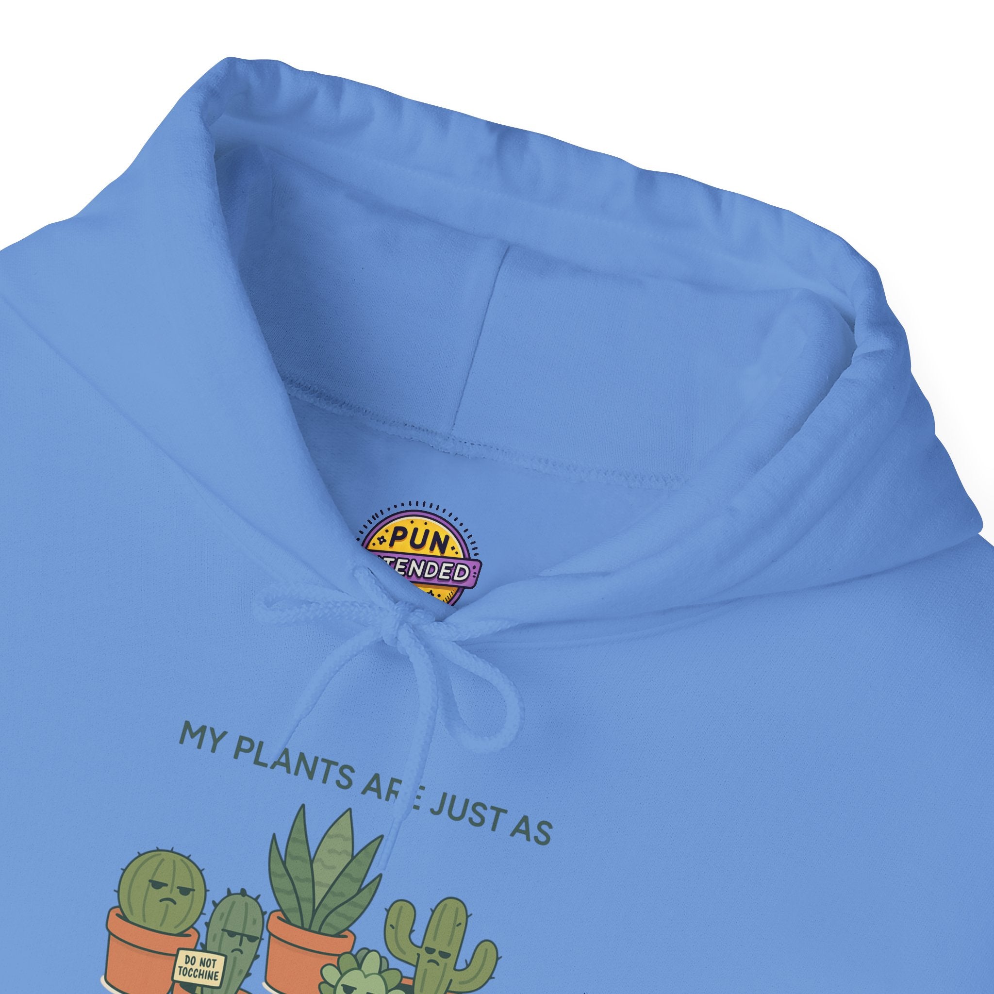 My Plants Are Just as  Emotinally  Unavailable as I am Hoodie
