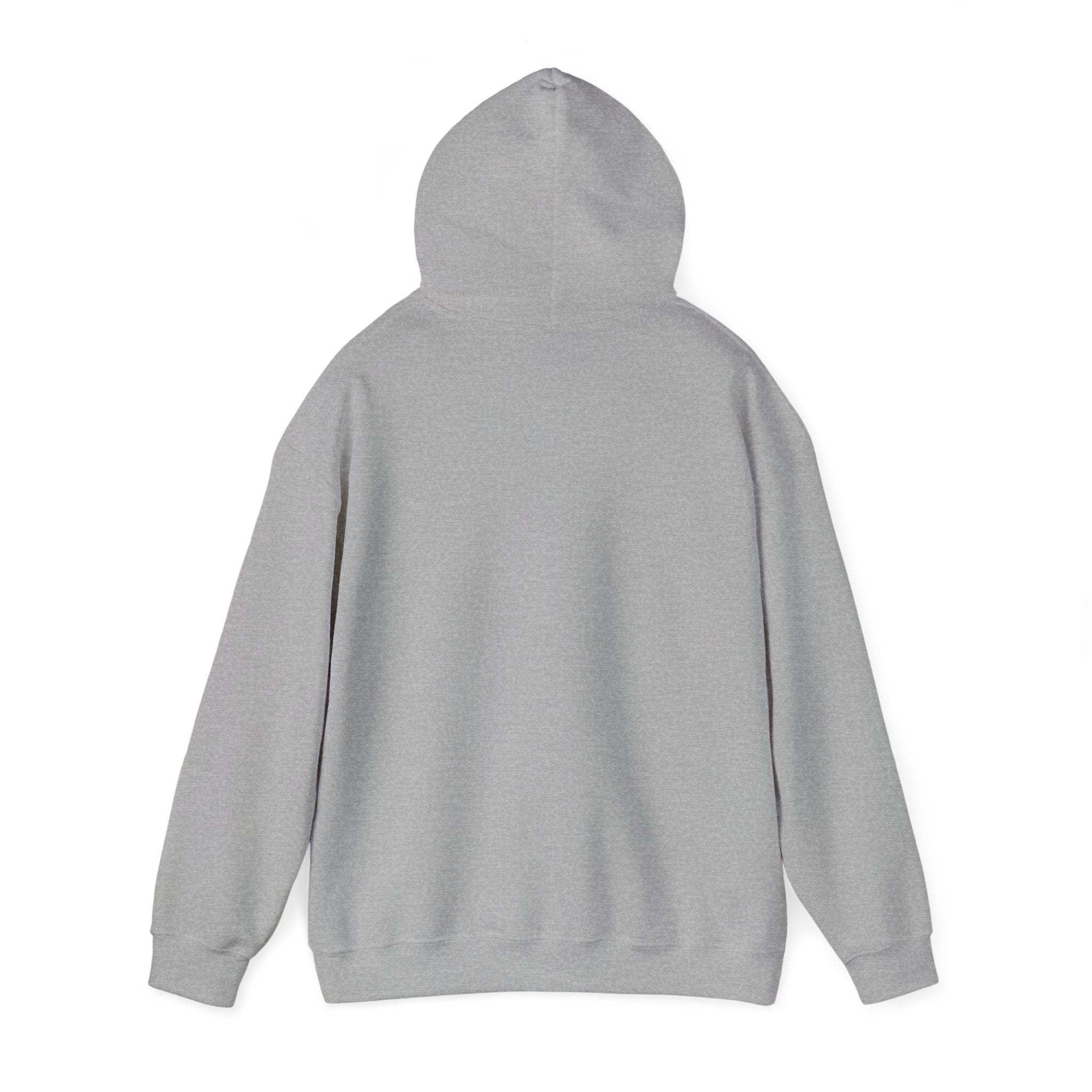 I Missed the Mark! Hoodie
