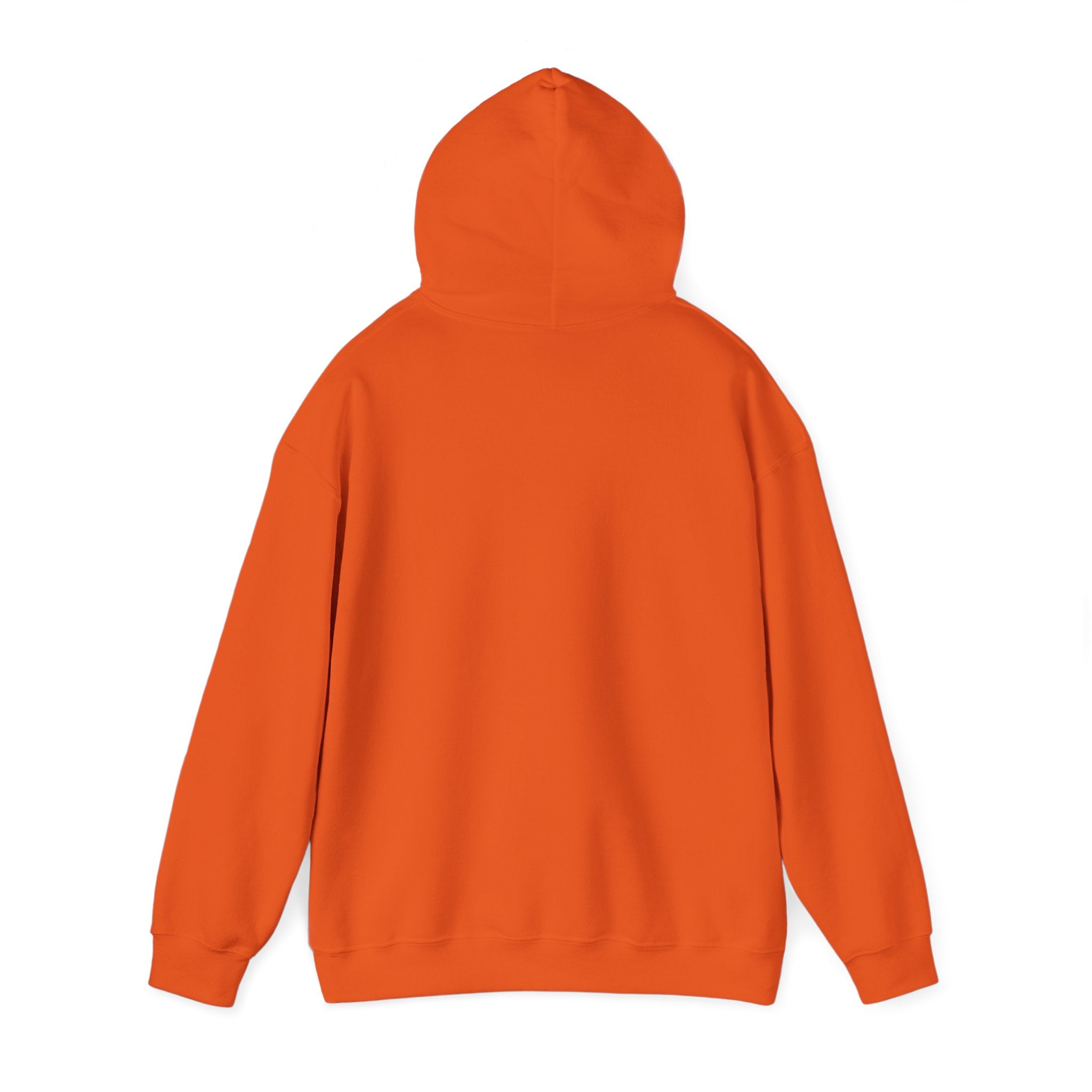 This Is My AFK Face Hoodie