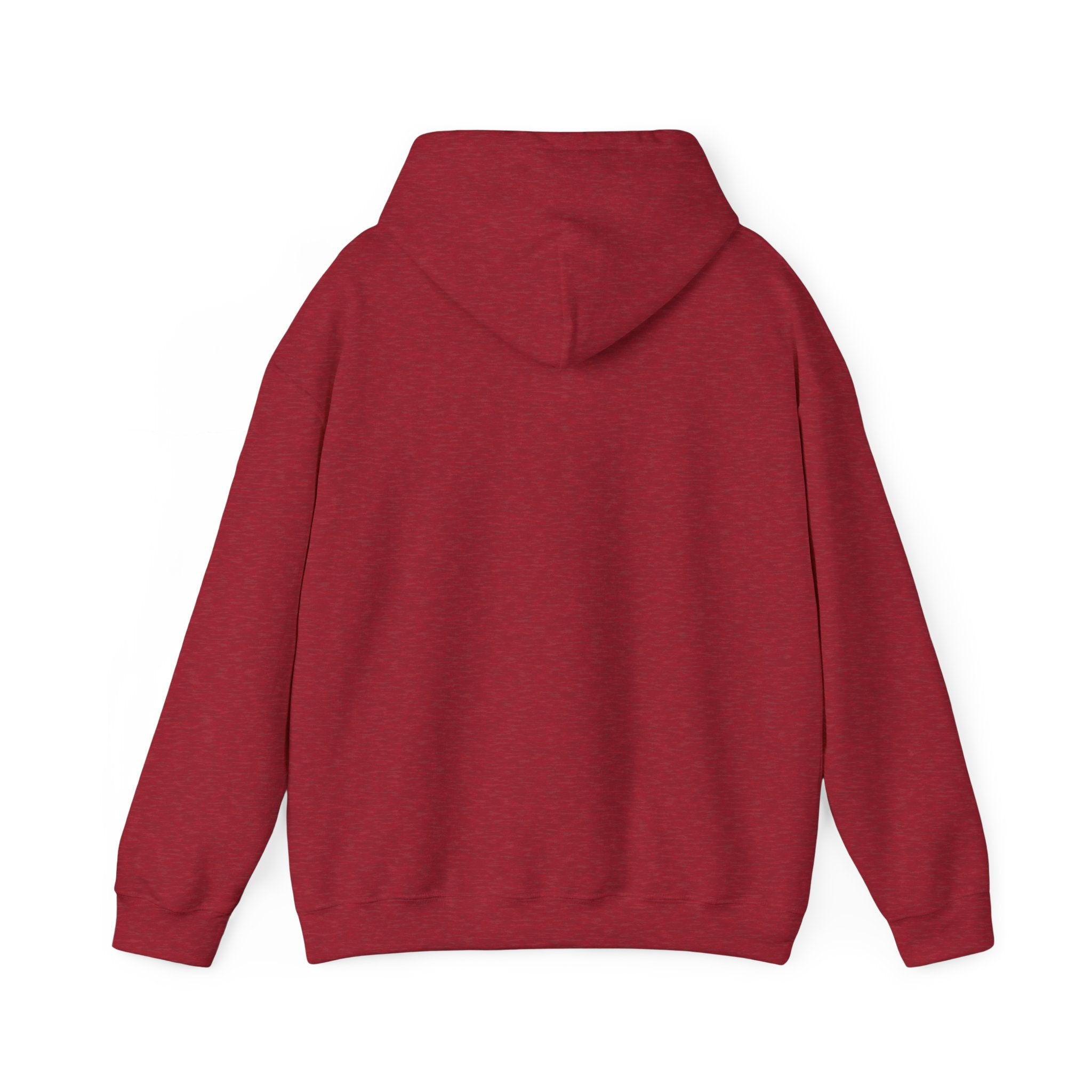 I Missed the Mark! Hoodie