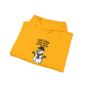 I Don't Snow What you are Talking About Hoodie