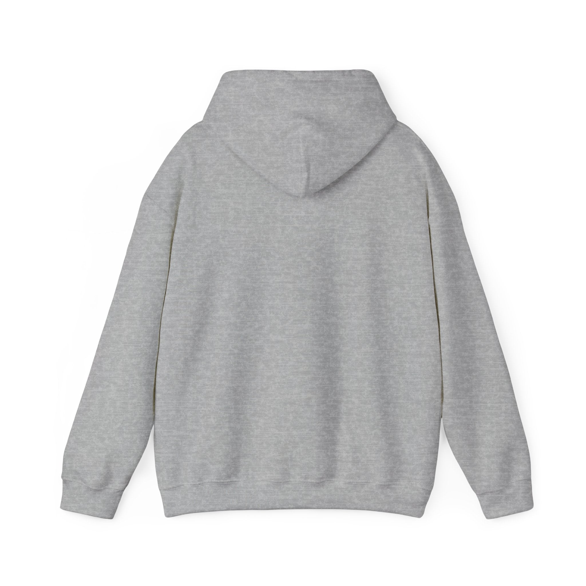 I Missed the Mark! Hoodie