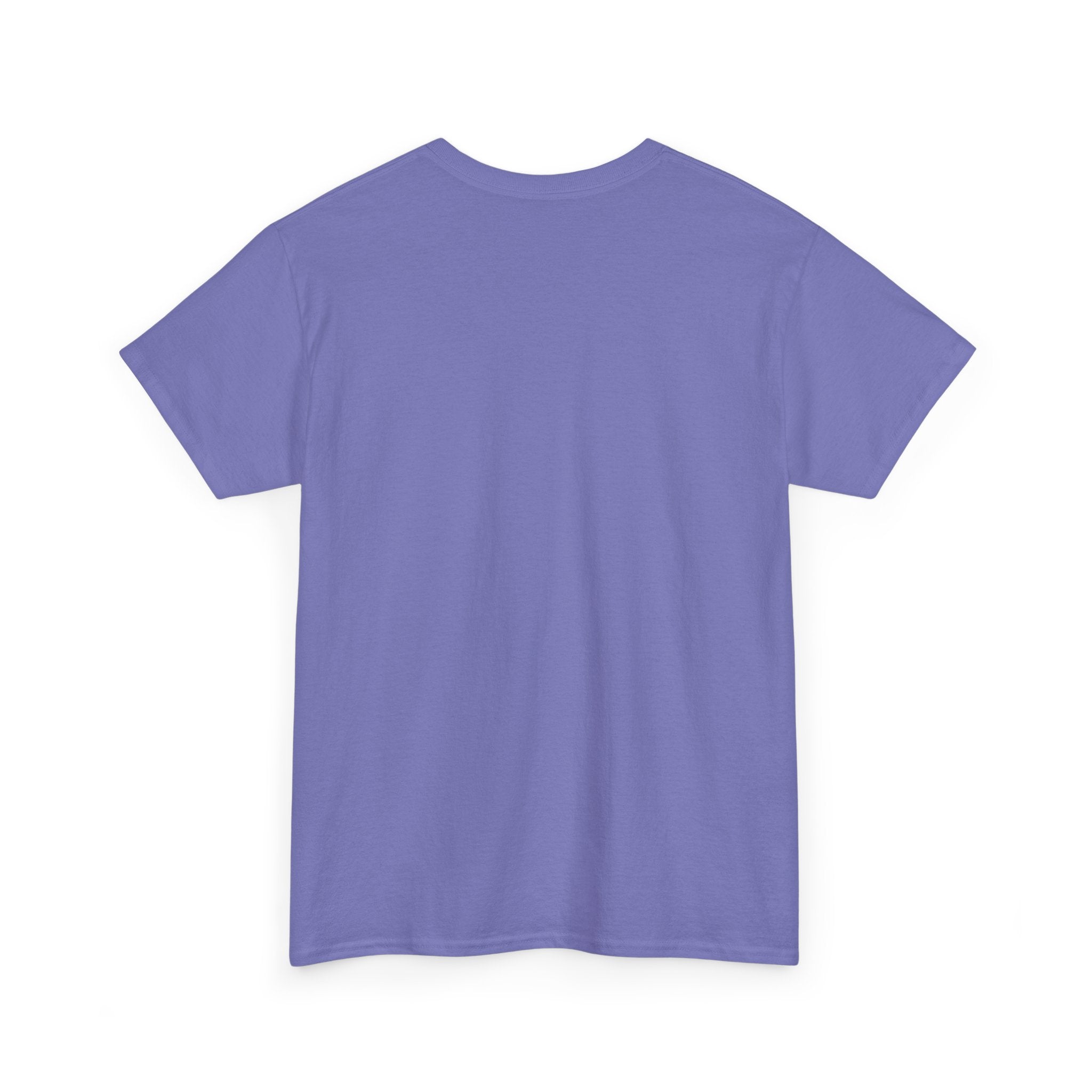 I Run on Coffee and Outdated Software T-Shirt