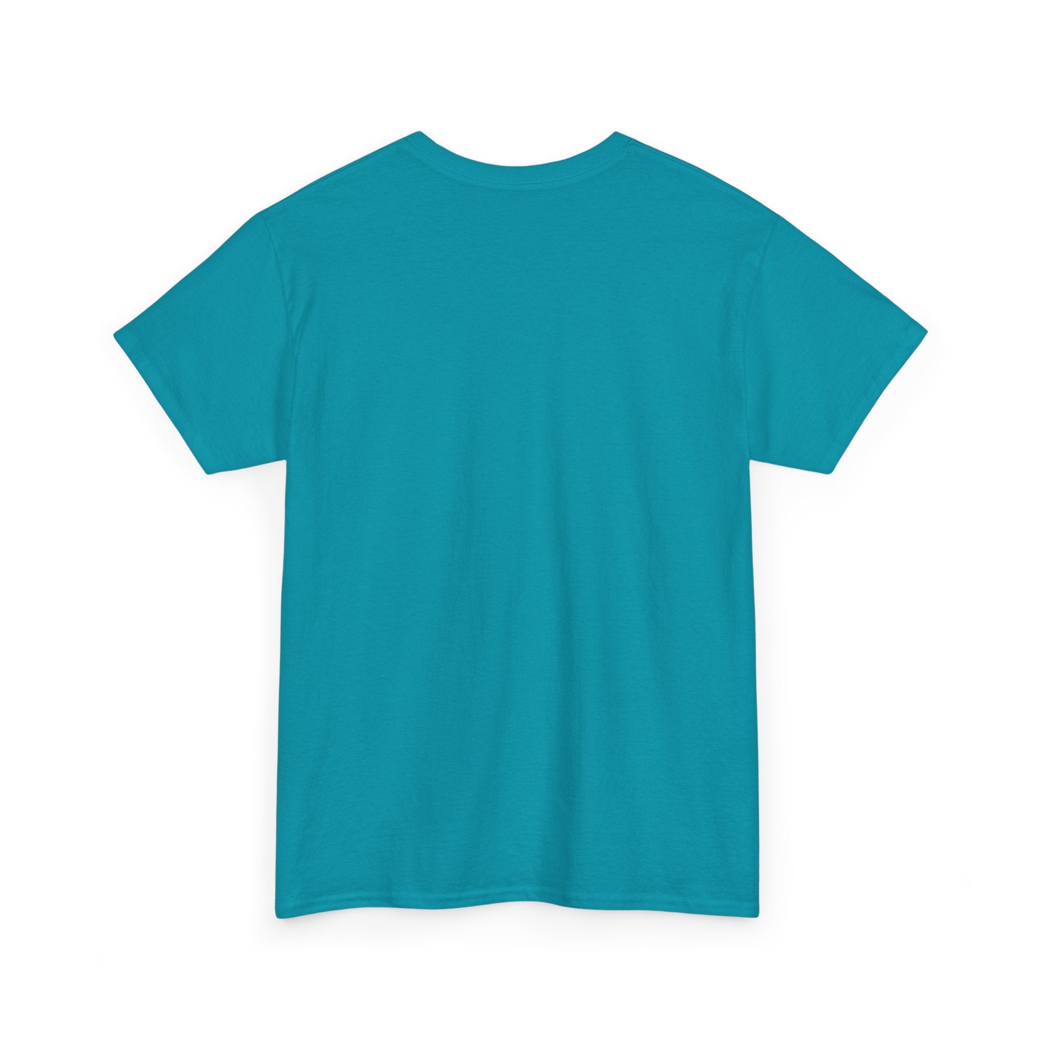 I Run on Coffee and Outdated Software T-Shirt